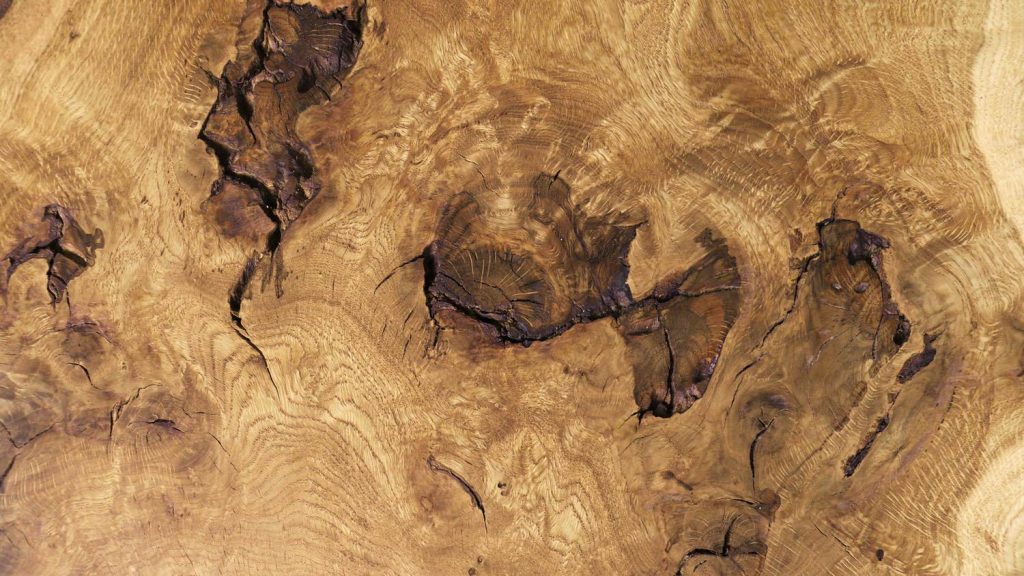 baum-patina-1024x576 (1)